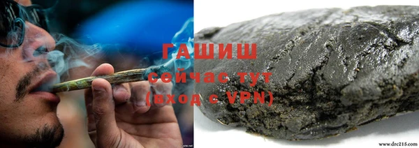 гидра Пересвет